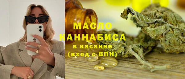 индика Абаза