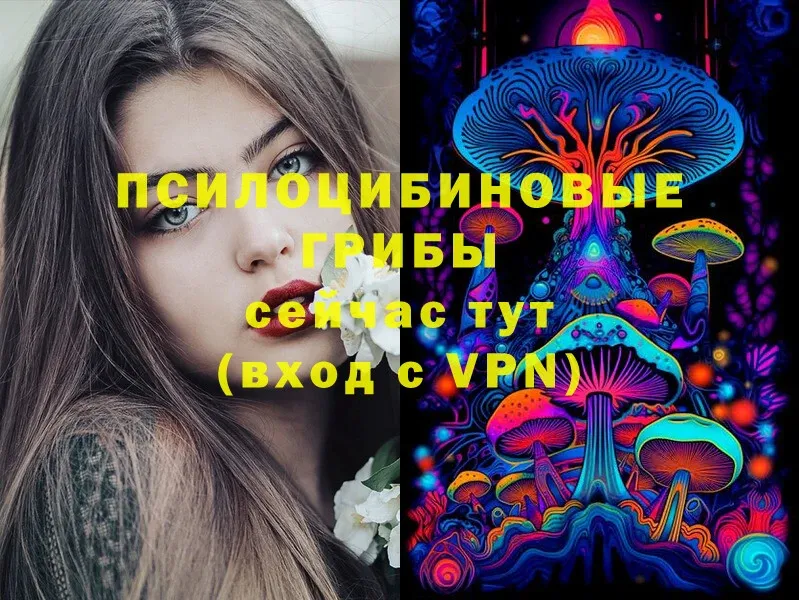 Псилоцибиновые грибы Cubensis  Агрыз 